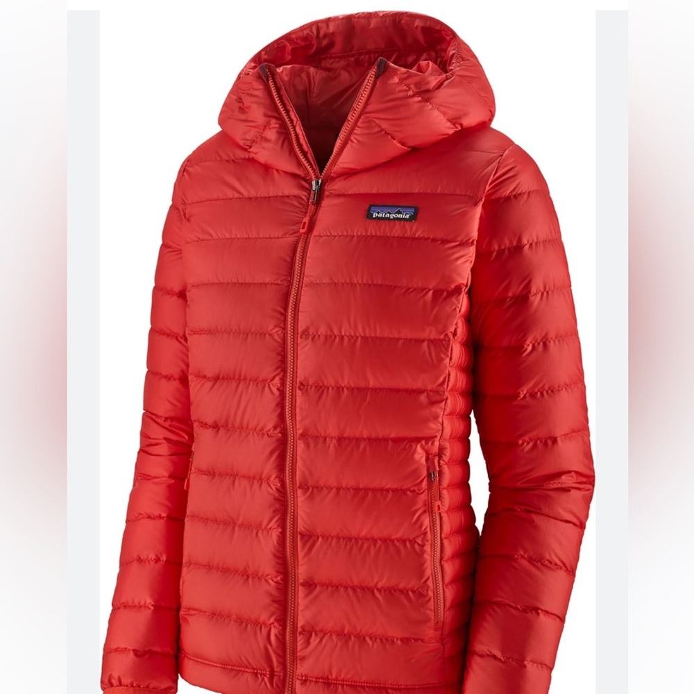 COPY - Patagonia down sweater full zip hoodie